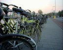 Bicycles in Amsterdam