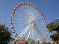 The Ferris Wheel in Navy Pier