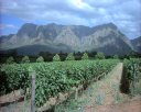 A view from Delaire Wine Estate